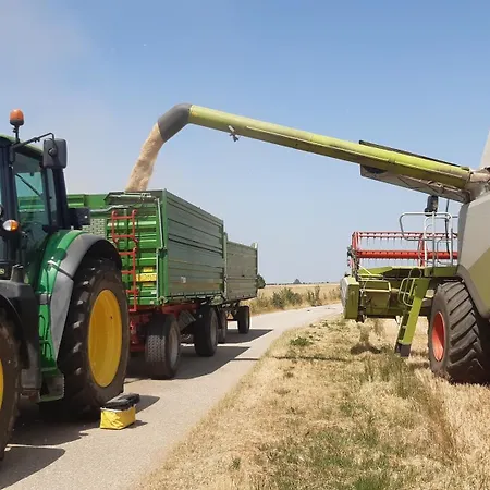 Am Arkadenhof דירה *