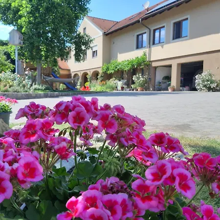 Am Arkadenhof דירה *