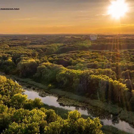 Appartement Am Arkadenhof