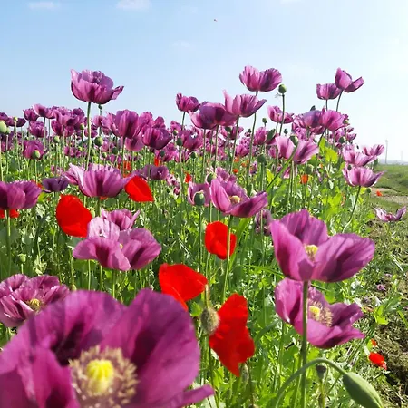 Am Arkadenhof Appartement