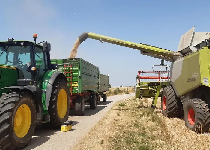 Am Arkadenhof Appartement *