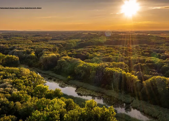 Appartement Am Arkadenhof