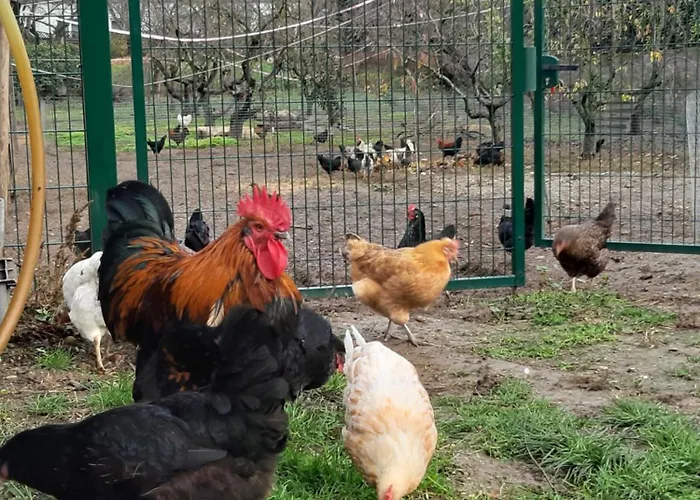 Am Arkadenhof Appartement *